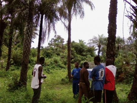 mes collegues
